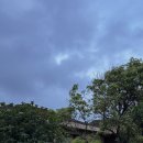 느긋한 시절 이미지