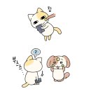 하루필름 이미지