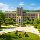 동국대학교 이미지