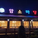 암소마당 티스토리