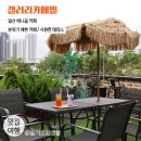 일산 애니골 카페 / 갤러리 카페 밀 / 테라스가 있는 예쁜 카페 시원한 허니 자몽 블랙티