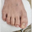 레푸스 호매실점 이미지