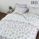 아이리스 이미지