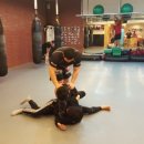 곰체육관 이미지