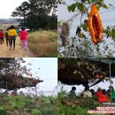 초포농장 이미지