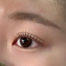 아이엘래쉬 | [김포속눈썹] 구래동속눈썹펌 찐후기! 없었던 속눈썹도 생긴 '아이엘뷰티'/속눈썹펌/언더속눈썹펌