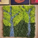 스칸디아모스 작품 만들기 이미지