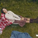 아일랜드플라워 네이버블로그