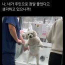 (주)아성다이소 인천송도1호점 | 너가 살아온 증거는 시간과 함께 자라나겠지