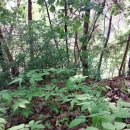 하루농장 이미지