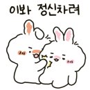 호야네92