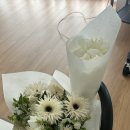 (주)칼리아디자인 | W7. 대구 촬영 부케 칼리아플라워스튜디오 계약 및 촬영후기(디피즈스튜디오 무료배송)