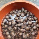 남도뻘낙지 | 무안에서 만난 낙지 맛집 남도뻘낙지 솔직 후기