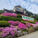 정선 자연속으로 펜션 이미지