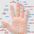 수지침 혈자리~입안냄새~피로회복~딸국질~무릎아플때~비염~스트레스~변비~만성피로등혈자리 이미지