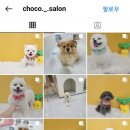 쵸코네묭실 이미지