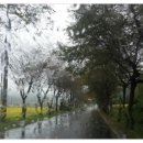 정민경헤어 이미지