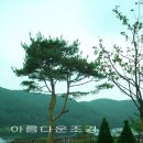 1267 이미지