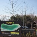 펫필드 | 포항 무료 강아지운동장 강아지놀이터 포항펫필드 추천 후기