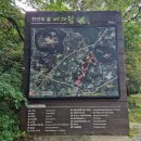 새천년생명의숲 | 제주 동쪽 가볼만한곳 비자림 숲길 탐방 코스 입장료 주차 정보