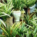 서울중부경찰서 본관 이미지