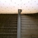 야채왕자 과일공주 이미지