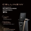 포레성형외과