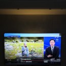 동일하이빌1차(아) | 청주동일하이빌파크레인1차 86인치TV 무타공벽걸이티비설치 사운드바 설치 후기