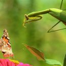 작은하늘 이미지