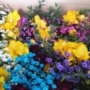 승혁 농장 이미지