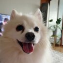 미엘로 - 고양시 일산동구 중앙로 1206 | 미엘로