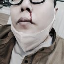 배시화국어 이미지