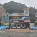 더커피 | 정동진 심곡항 자몽더커피 후기