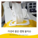 도리1천 이미지