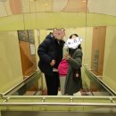 (주)응급일이구 | 쌍둥이 임신 36주 0일 응급 제왕절개 신촌세브란스 출산 통증 후기