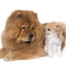 한마음동물병원 이미지