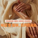 진아세탁 | 일산 왁싱 효과 두 배로! 홈 케어 꿀팁 세 가지(후기 포함)