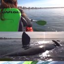 지구촌 수영장 이미지