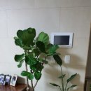 웅천부영5차 이미지