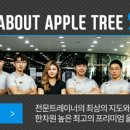 세인트피트니스