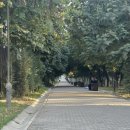 아미르레스토랑 이미지