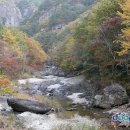 느티나무펜션민박 이미지