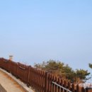 승승칼국수 이미지