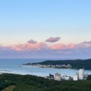 유림-1134 이미지