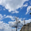 야시대로 이미지