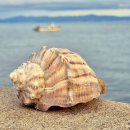 여행사진작가 이미지