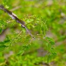 2021 문화가 있는 날 무료영화상영 이미지