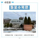 사진 찍기 좋은 양평 들꽃수목원 산책