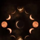 루루하우스 이미지