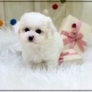 하루산책 이미지